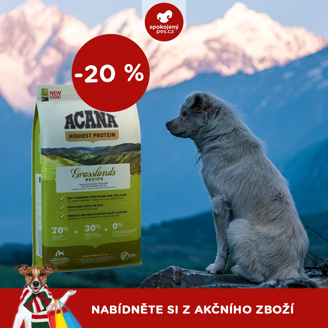 akční únor_8.webp